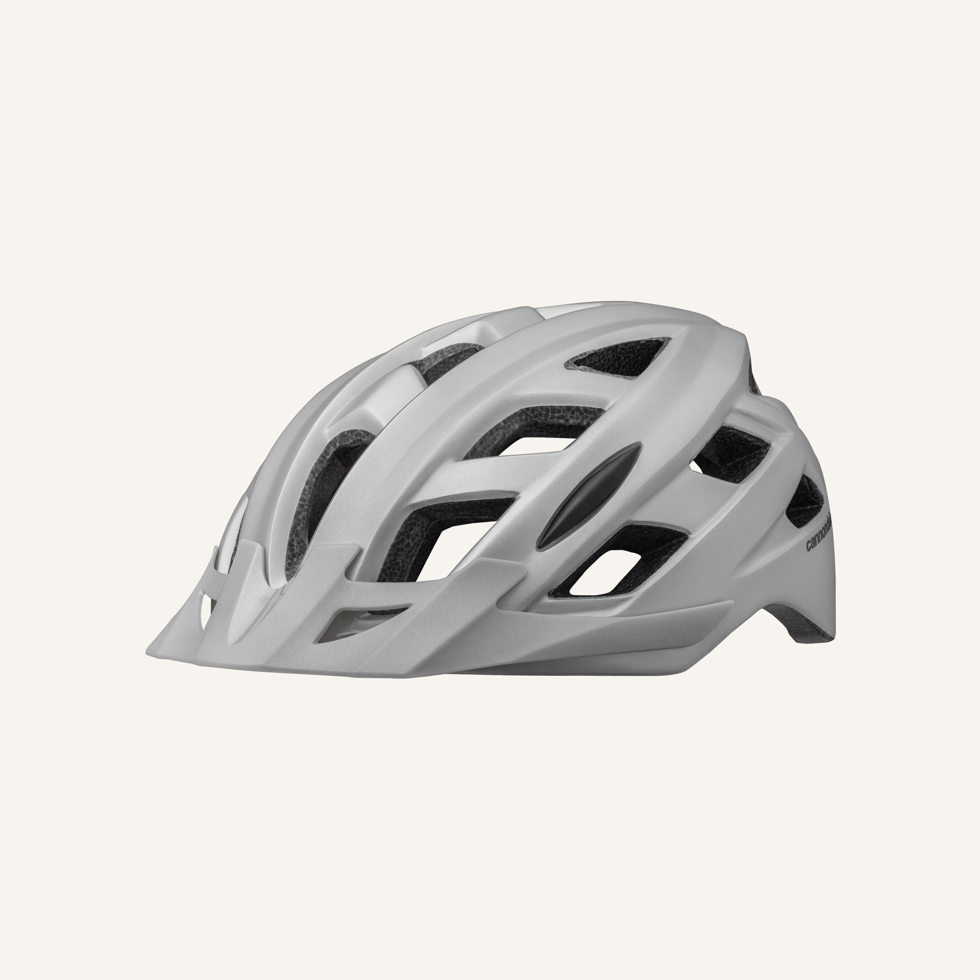matte-fine-silver-electric-bike-helmet